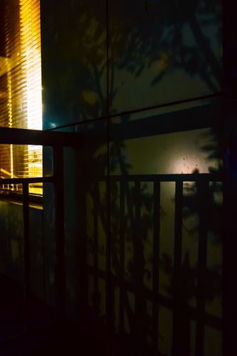 沉沉又是夜半,隐隐少许微风,墙上几叶树影,窗前一盏孤灯.
