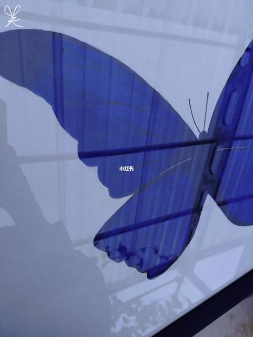等蝴蝶腐烂 等天空变成克莱因蓝 等我变成21克