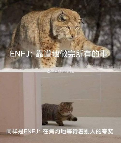 mbti meme##enfj