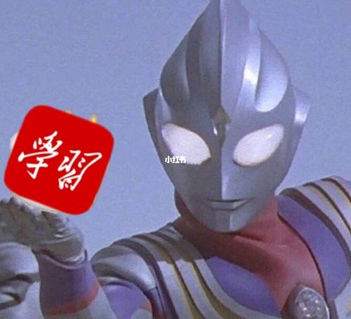 表情包催学习强国表情包①