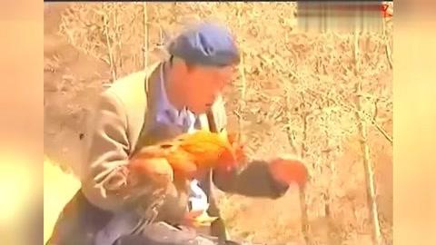 01:07 来自:青海花儿《胡汉三系列》02 01:19 来自:青海胡汉三给丈人