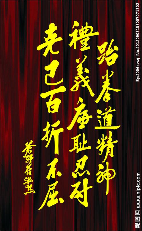 跆拳道的精神_跆拳道的精神是什么