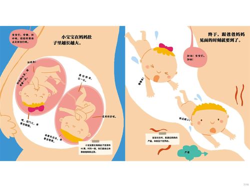 《妈妈,我从哪里来》 写美篇