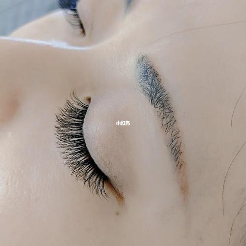 三叶草_睫毛_三叶草睫毛_美妆_医美整形