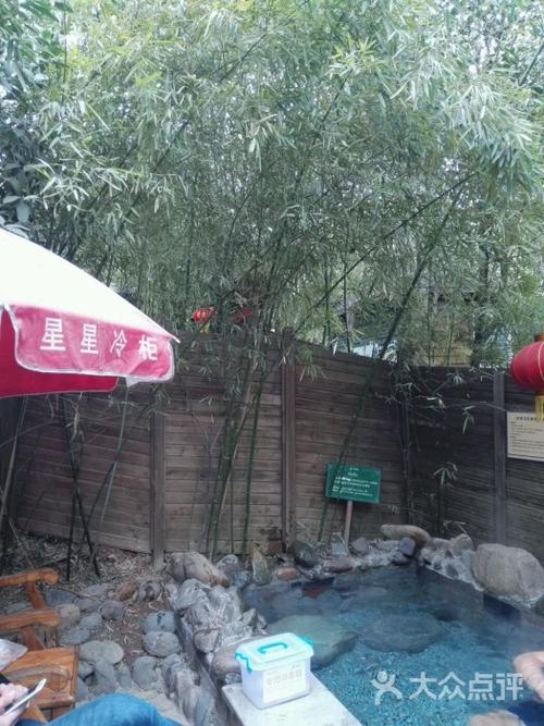 凤翔温泉主题酒店图片 - 第13张