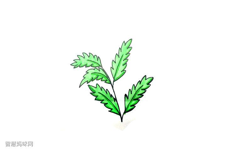 如何画艾草