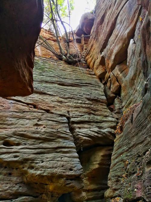 人间三千事 皆在天书里 ——鹃城读书会石林谷行记