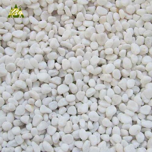 厂家直销 盆栽装饰造景用白石子规格齐全 建筑园林抛光白色鹅卵石