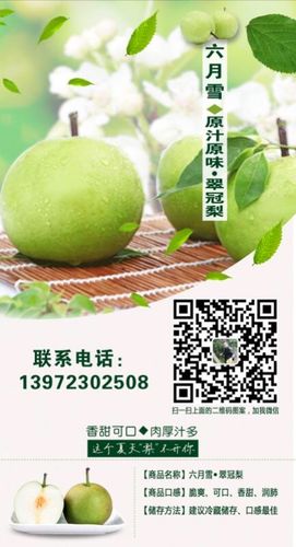 宝恒垸梨园果树认养征集令