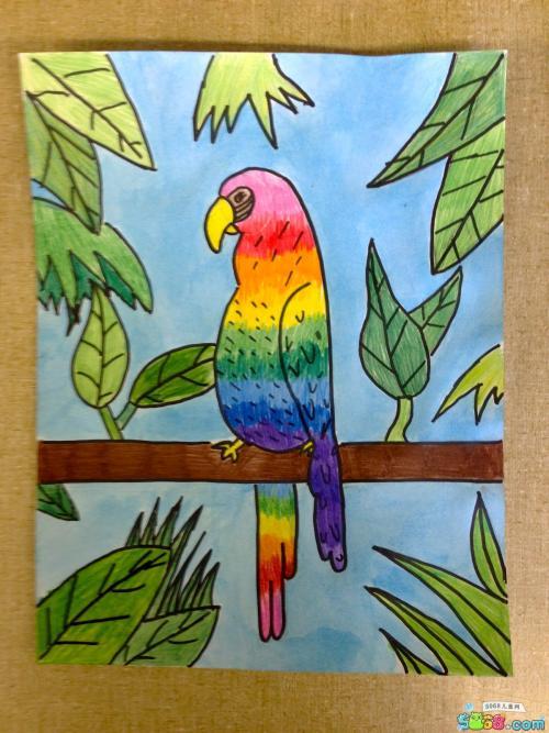 五彩的鹦鹉关于小鸟的画画图片大全