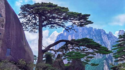 2020十一国内旅游景点安徽黄山