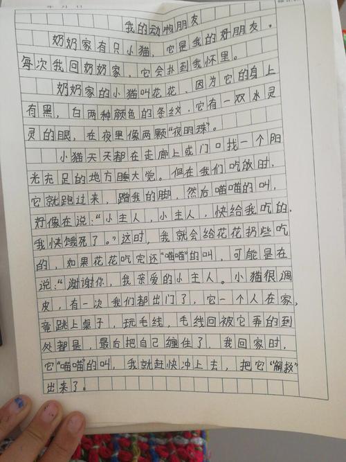 我手写我心 成长亦精彩——方城县第三小学四年级段作文竞赛展示