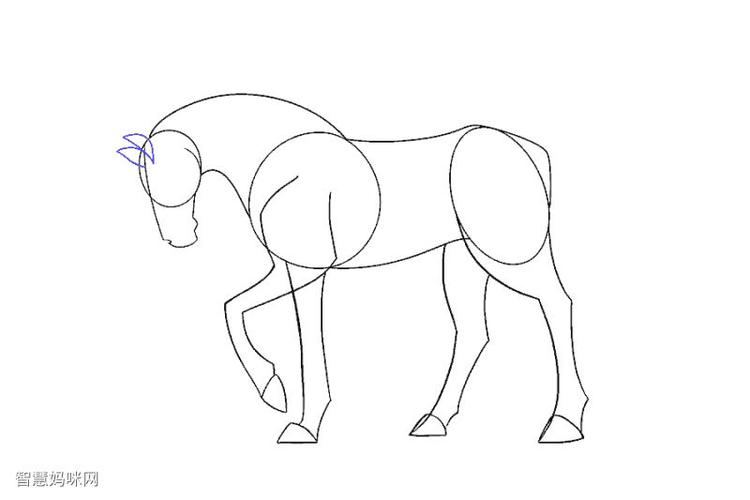 如何画一匹简单的马