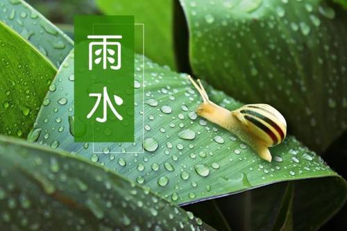 春雨的图片(今日雨水丨渴求一场春雨)