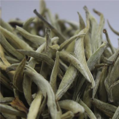 2019年明前春茶白茶 景谷大白毫 大白芽 云南普洱茶批发 接受预定