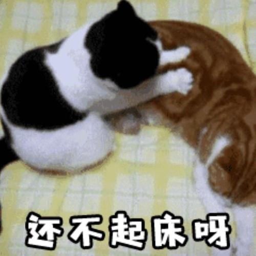 叫男朋友起床的短句叫男朋友去起床的表情包合集