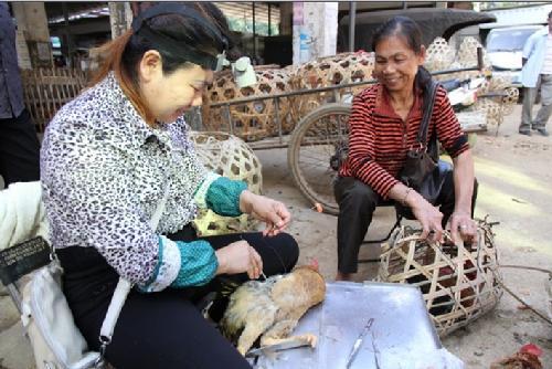乡土藏珍·江州区民间艺人系列专访之三——韦龙芬:阉鸡"天使"