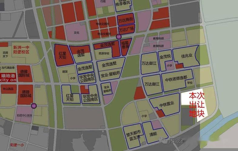 刚刚实地集团入驻阳逻