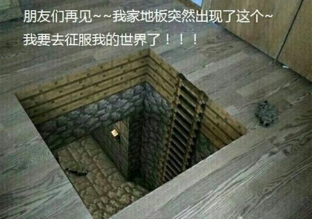有关于《我的世界》的7张趣图,玩mc多什么感觉?看什么都像方块