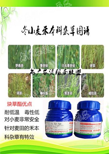 15炔草酯除草剂农药小麦田禾本野燕麦燕雀麦野麦罔草硬草看麦娘