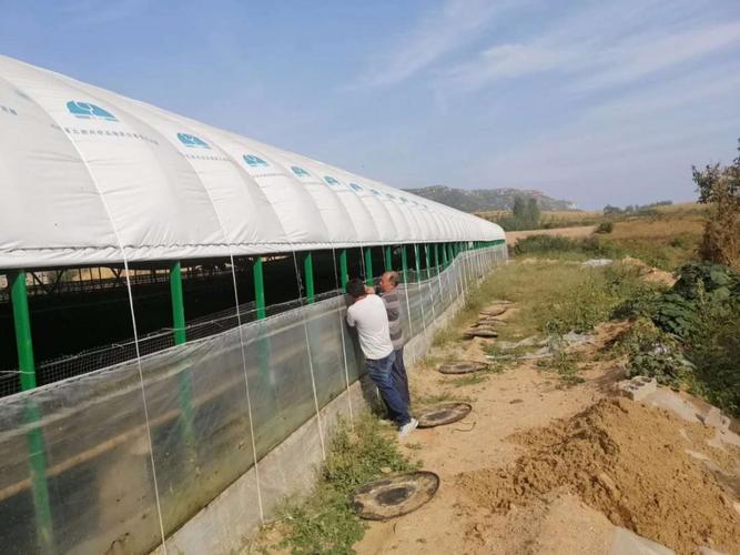 山东肉鸭温室养殖大棚肉牛肉羊养殖大棚上门安装值得信赖猪舍