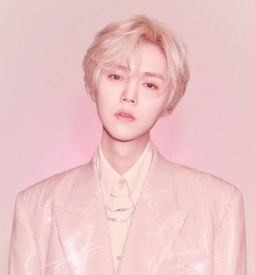 这次鹿晗依旧走阳光美貌路线,满头黄发搭配粉色修身西装看起来"阴气