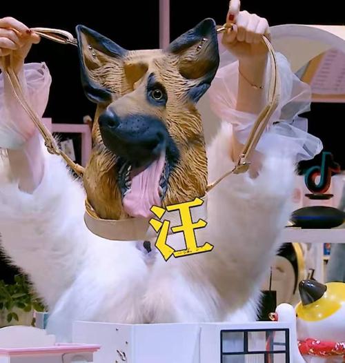 明星大侦探戚薇杨蓉同款包包仿真动物背包狗头包女男搞怪双肩包潮