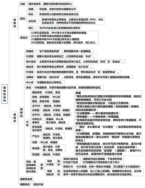 细胞质和细胞核
