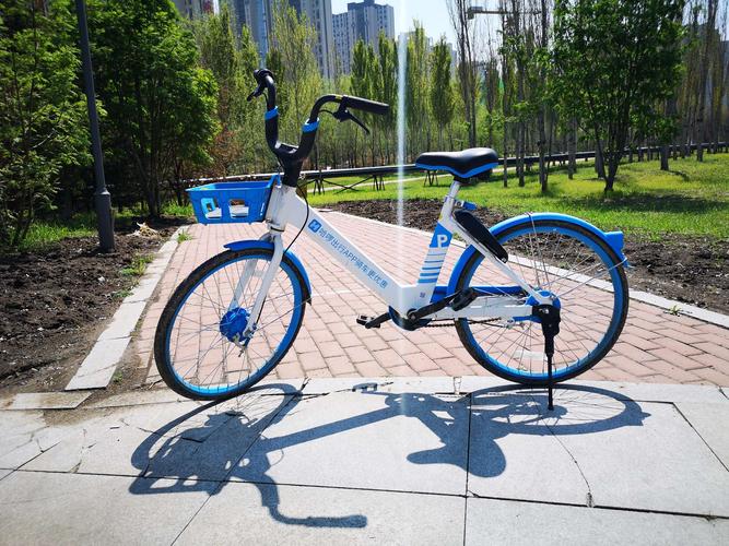 《哈啰》共享单车一一哈市靓丽的风景线!