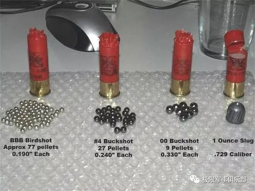 【霰弹篇】关于子弹这个东西你们到底知道多少?