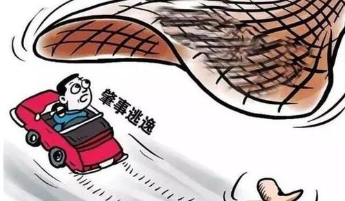 肇事逃逸拘留多少天拘留15天处理