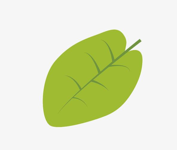 关键词 : 绿叶,树叶,绿色,卡通树叶,png,素材