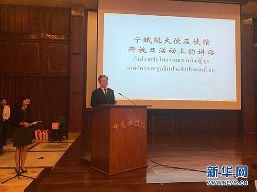 中国驻泰国大使宁赋魁致辞.新华网记者 杨舟 摄