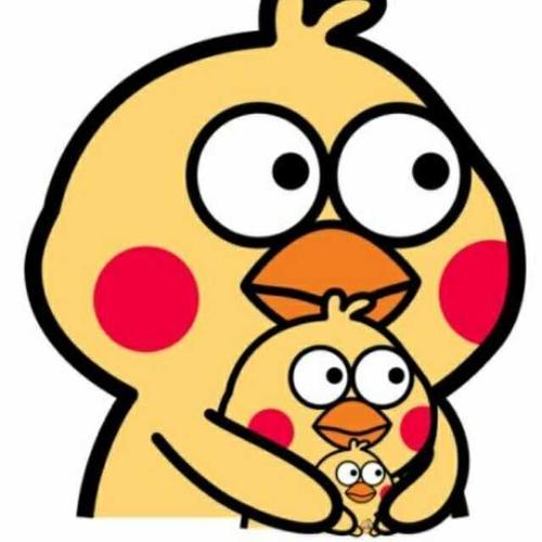 鹦鹉鸭头像卡通