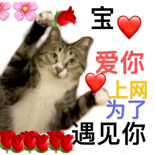 沙雕表情包听我说谢谢你