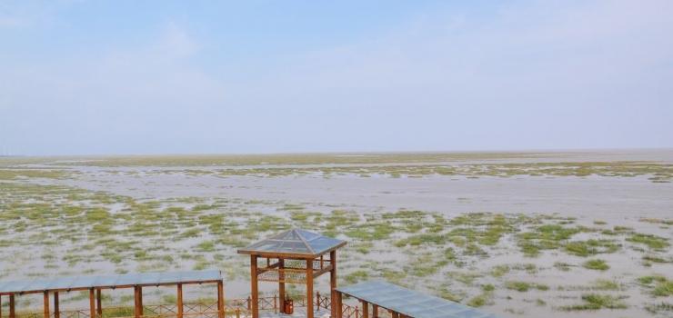 南通小洋口风景区旅游攻略_如东车友会_如东论坛_如东