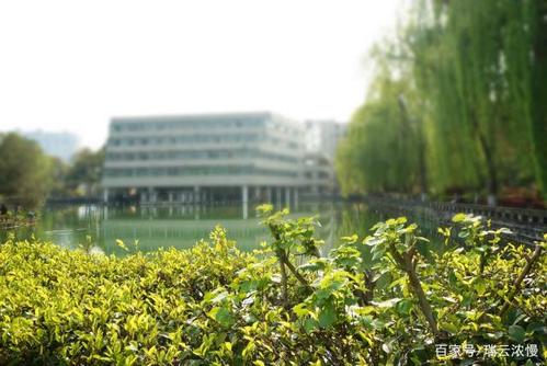 为何211的四川农业大学比成都理工大学收分更低?
