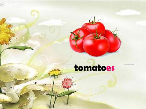 unit4 at the farm第一课时(新人教pep版)ppt  tomatoes 第6页 (共8页