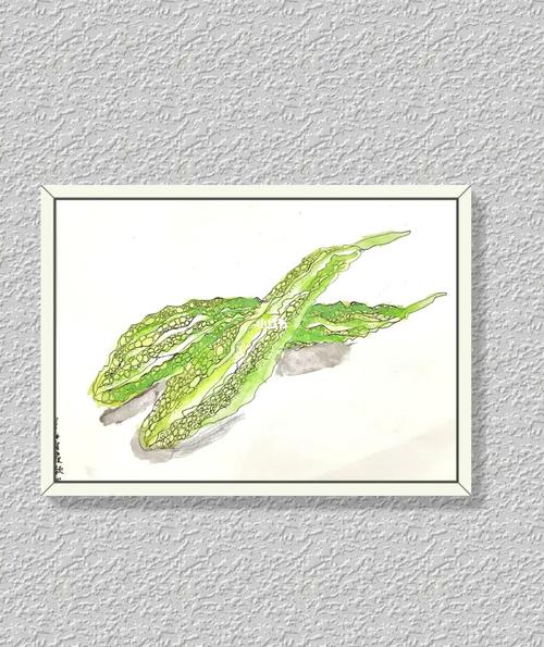 【苦瓜线描写生】_苦瓜_写生_线描_美术_艺术_兴趣爱好_绘画