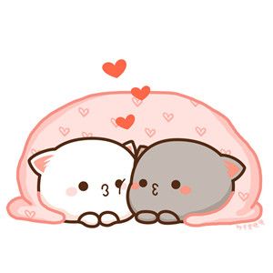 蜜桃猫情侣头像一对 可爱蜜桃猫所有表情包图片