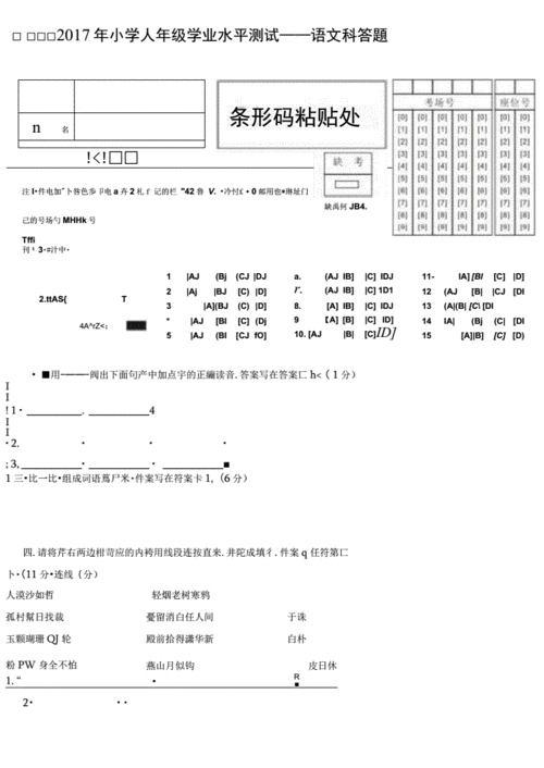 小学考试2017年小学六年级学业水平测试——语文科答题卡