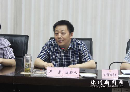 县委常委,常务副县长严勇主持座谈会