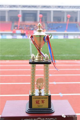 中青英联为即墨赢得历史上首座成人足球冠军奖杯