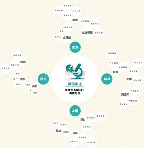 思维导图抗"疫"记——一位医学高职生的别样抗疫