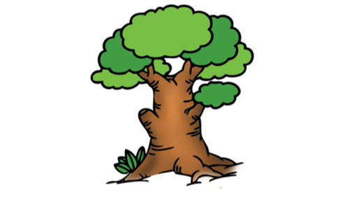 冬季榕树的养殖方法