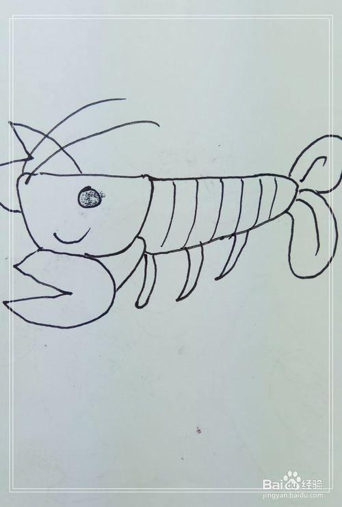 怎样画简笔画"大虾"?