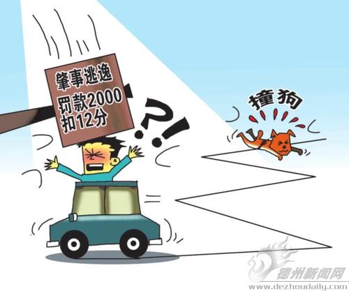 肇事逃逸