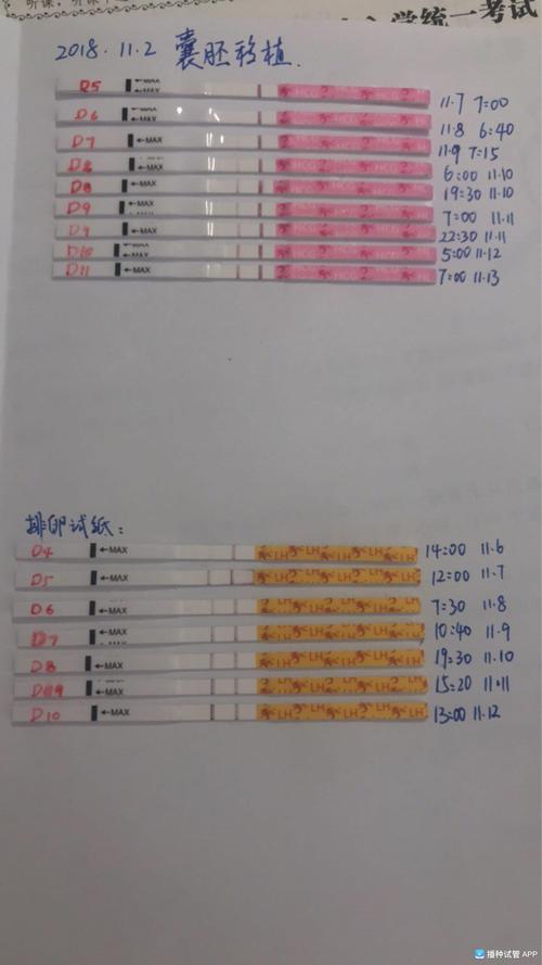 [试管婴儿]11月2日囊胚移植,每天都有一