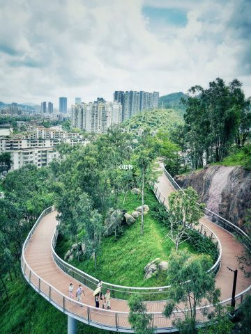 珠海海天公园栈道