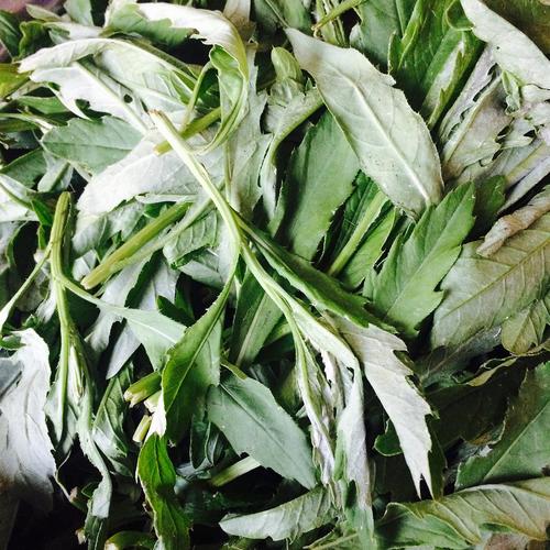 山西·五台山——山野菜